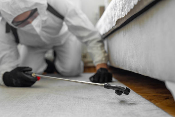 Professional Termite Control technician working in Lakeport, CA