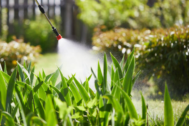24/7 Emergency Termite Control experts in Lakeport, CA